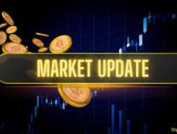 Fatal! 4 Kesalahan Investasi Kripto Pemula