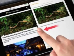 7 Tips iPad untuk Produktif, Dijamin Ampuh!